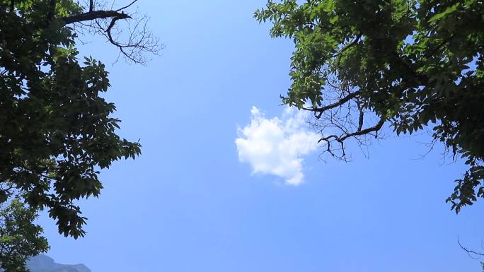 蓝天上的一朵白云 大自然 风景 晴朗