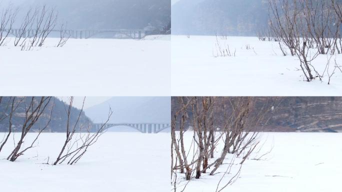 平原树枝雪景航拍