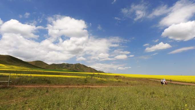 扁都口山坡骑马游客