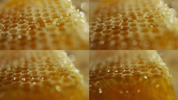 蜂蜜唯美食材野生广告精品