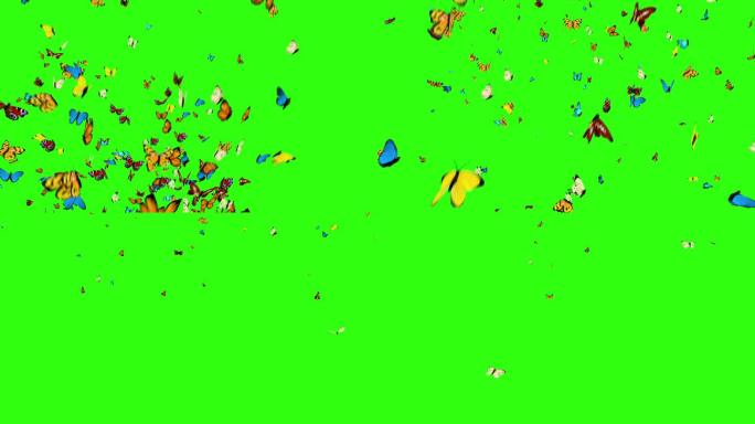 绿色背景上飞舞的蝴蝶