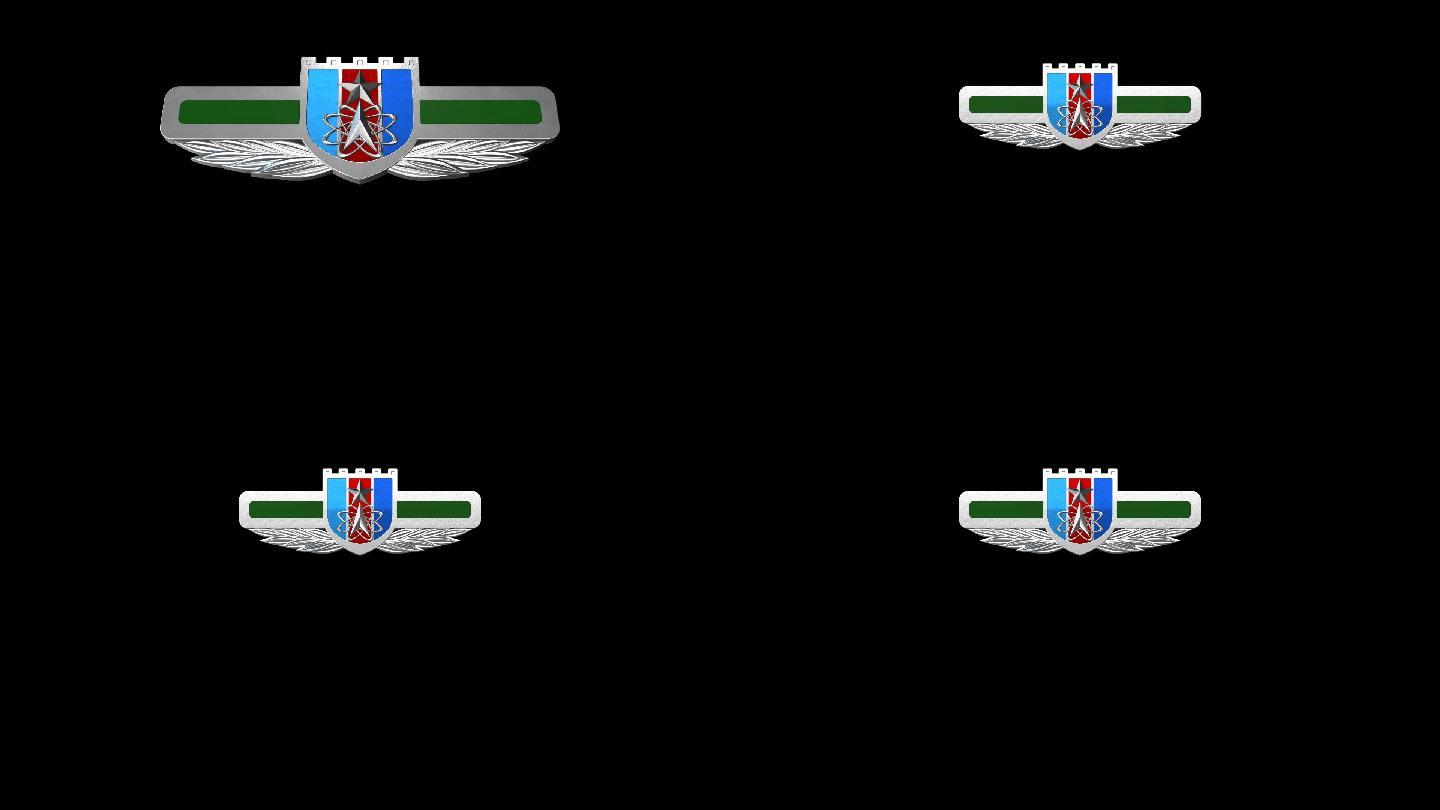 战略 部队 支援 解放军 徽章 标识