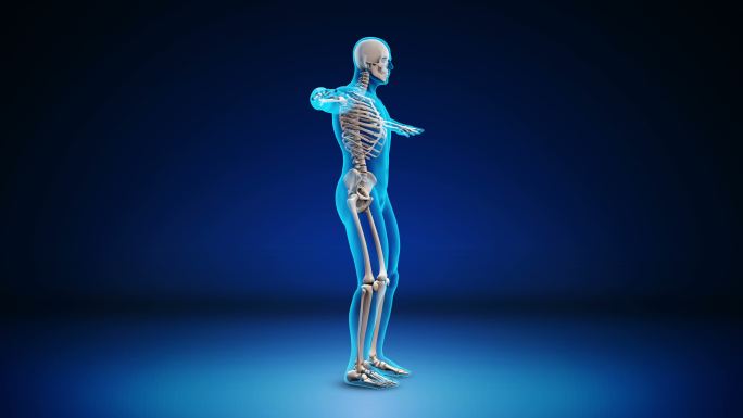 人体骨骼X射线运动图像医学X射线照明