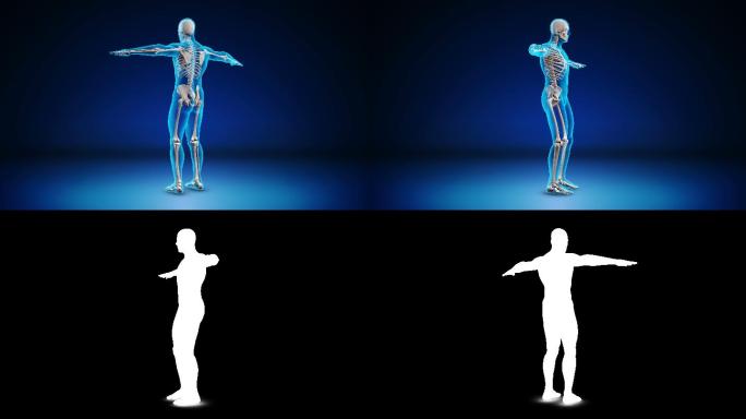 人体骨骼X射线运动图像医学X射线照明