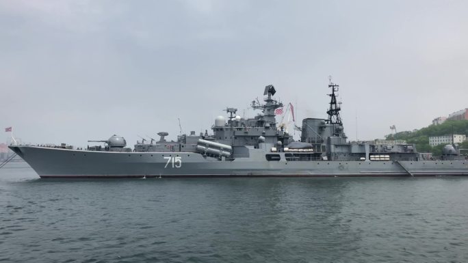 俄罗斯海上驱逐舰