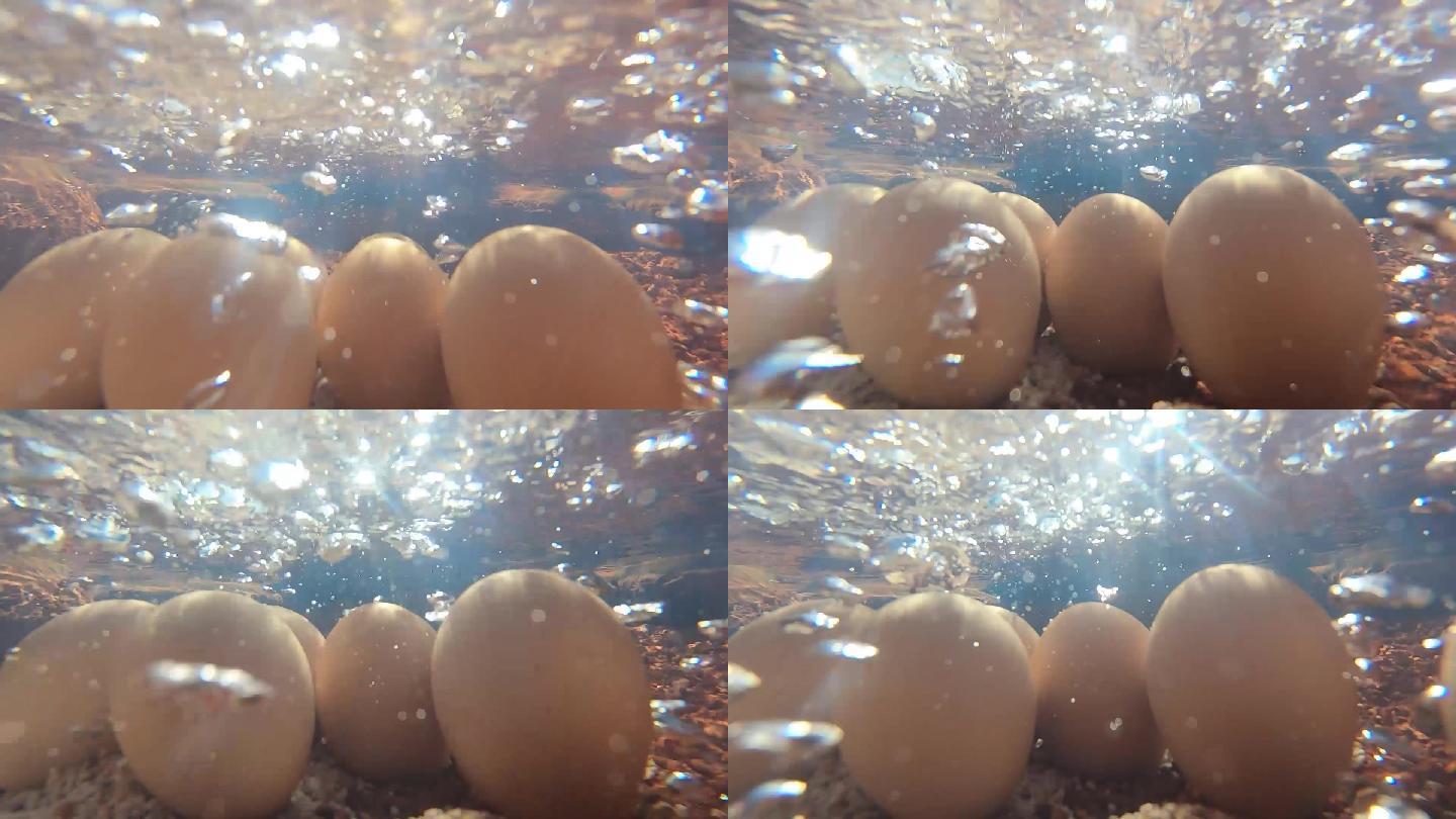 天然温泉中的鸡蛋 温泉蛋 鸡蛋
