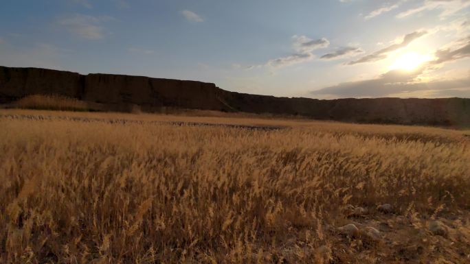夕阳戈壁草原前行