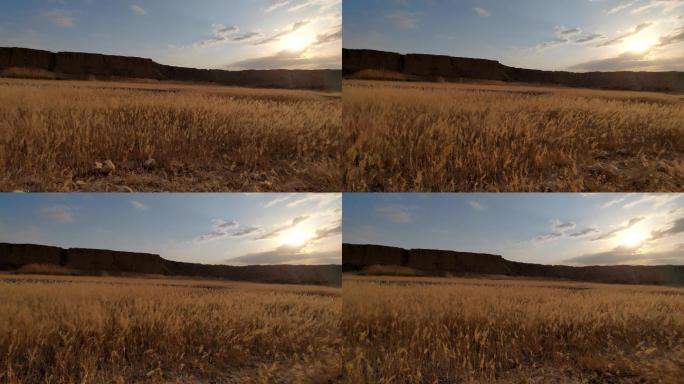 夕阳戈壁草原前行