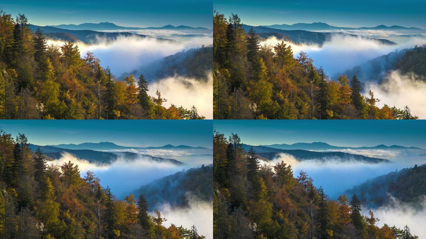 云雾缭绕的山峰秋日秋色金黄色森林航拍
