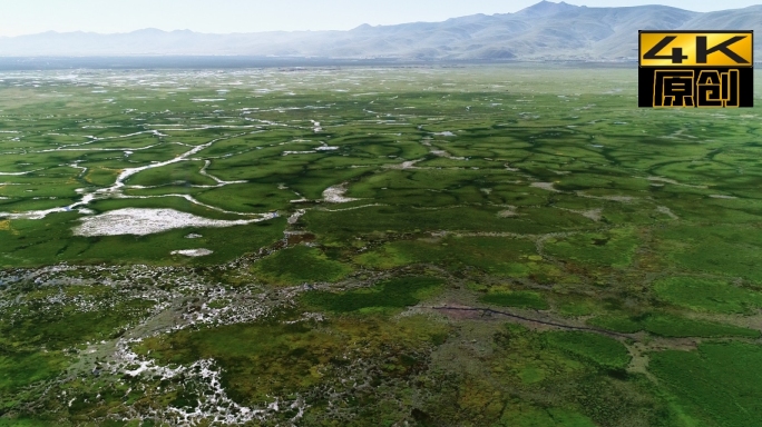 阿热湿地、西藏、航拍、自然风景、绿色