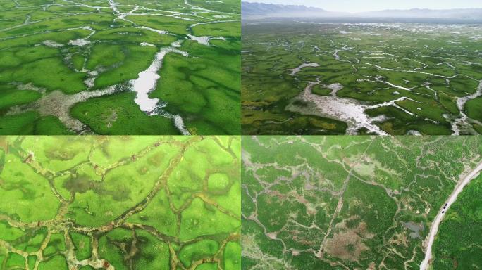 阿热湿地、西藏、航拍、自然风景、绿色