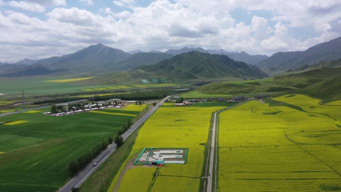 青山峡谷田野