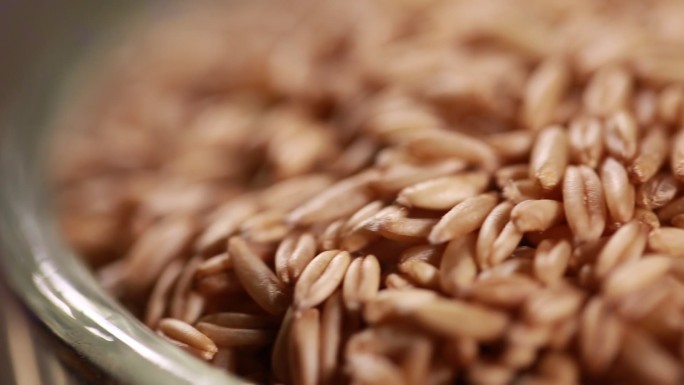 五谷杂粮各种谷物 (13)