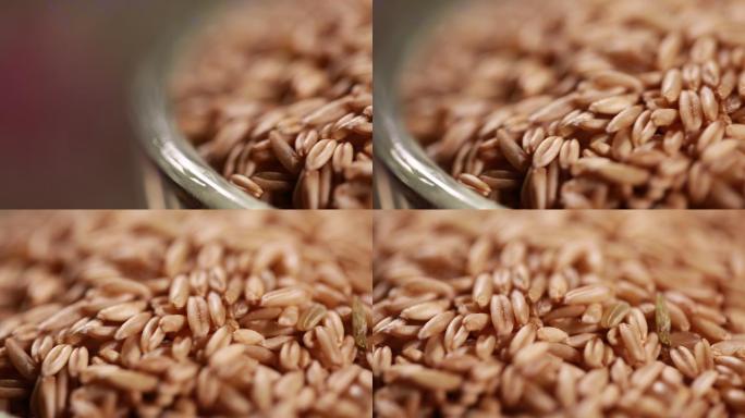 五谷杂粮各种谷物 (13)