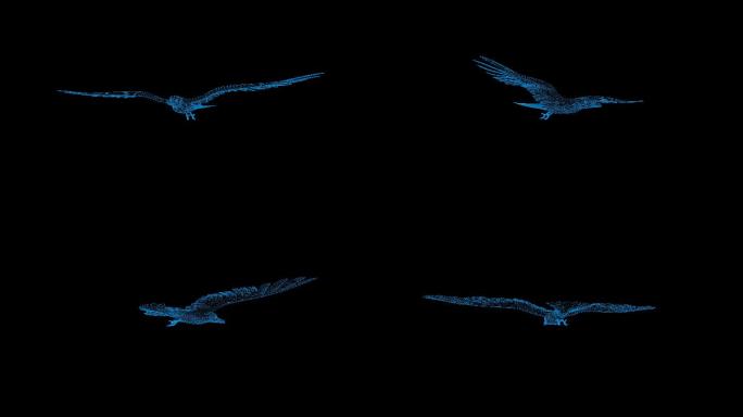 4K蓝色全息科技线框海鸥素材旋转带通道