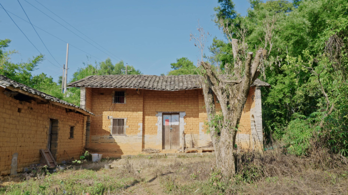 11316 乡村生活农村环境农村家禽水果
