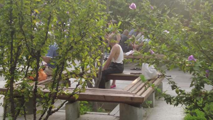 夏天城市街头公园 阳光树林退休老人打牌