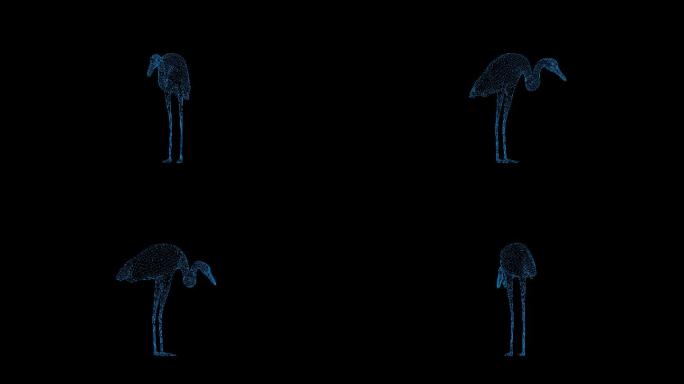 4K蓝色全息科技线框鹤素材旋转带通道
