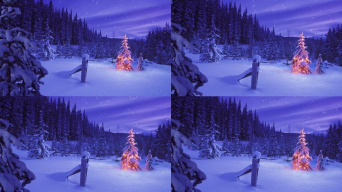 雪林中的圣诞树在闪闪发光