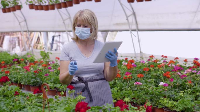 在花房里做检查传染病盆栽蓝领工人