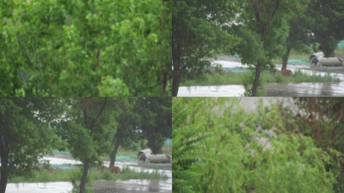 阴雨天气