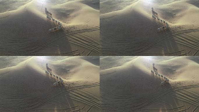沙漠实拍视频 驼铃 天边骆驼