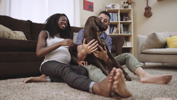 怀孕的妻子和丈夫坐在地板上和他们的狗玩耍