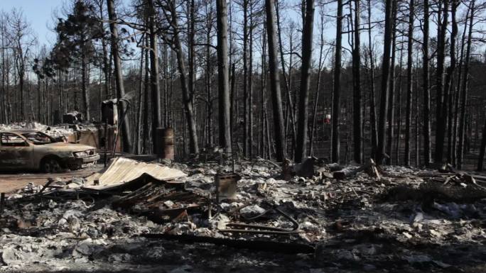 森林大火中的房屋和车辆残骸。