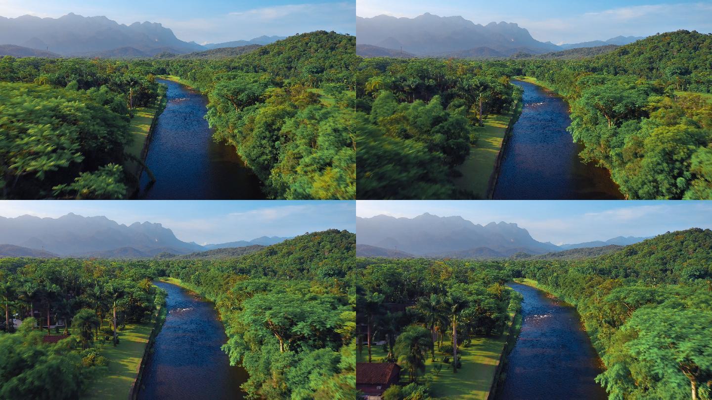 热带绿色森林中的亚马逊河