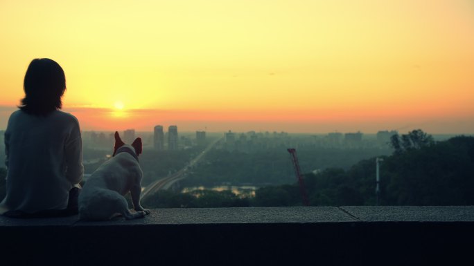 和宠物一起看日落。