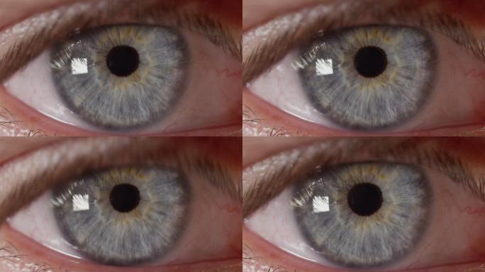 蓝眼睛的瞳孔适应光线变化