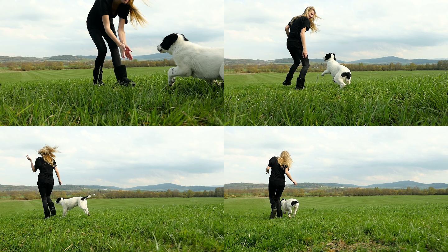 年轻女子在草坪上和小狗玩耍