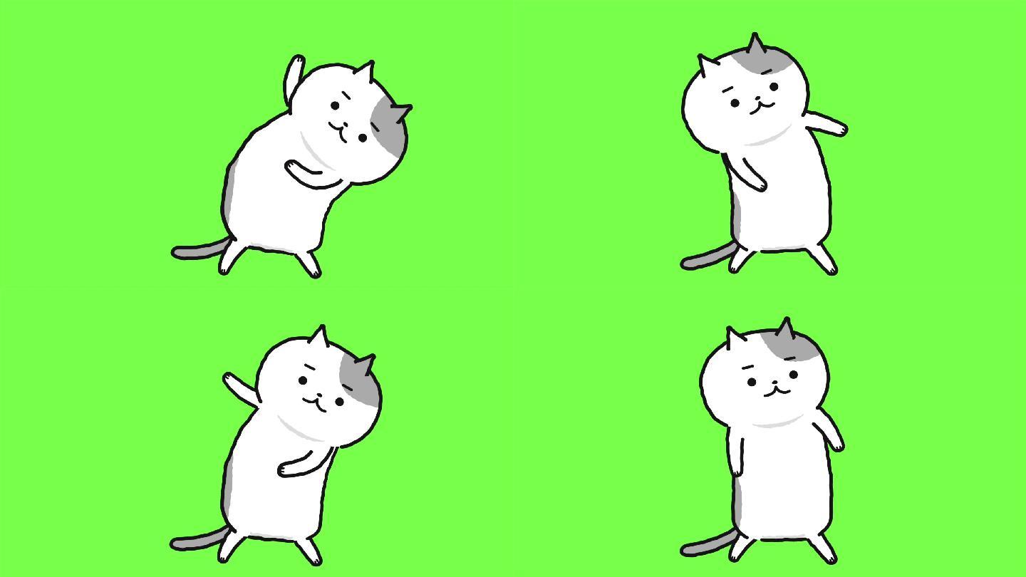 【直播回放】新衣出道特辑 | 猫猫小偶像来噜！ 2022.09.15 - 哔哩哔哩