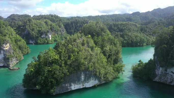 印尼蘑菇岛森林绿水青山