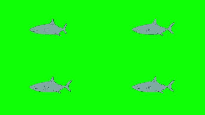 卡通鲨鱼在绿色屏幕背景上游泳