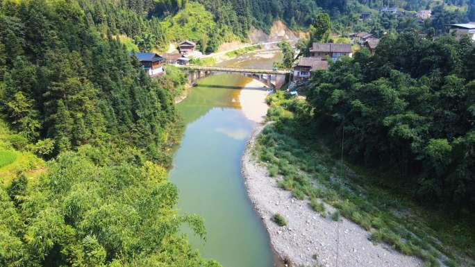 实拍农村立秋的水稻，一片翠绿