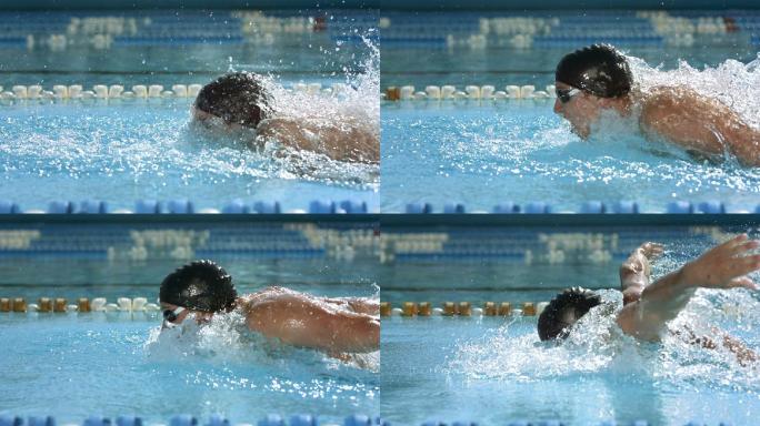 专业游泳运动员蝶泳