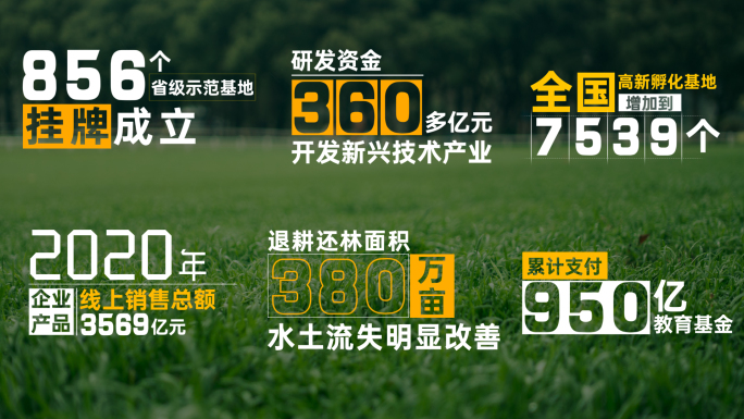 简洁数据字幕条