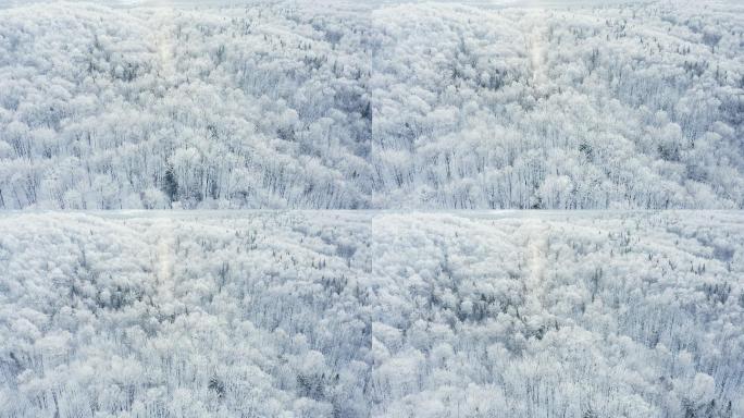 加拿大魁北克省暴风雪后森林的空中视频视图