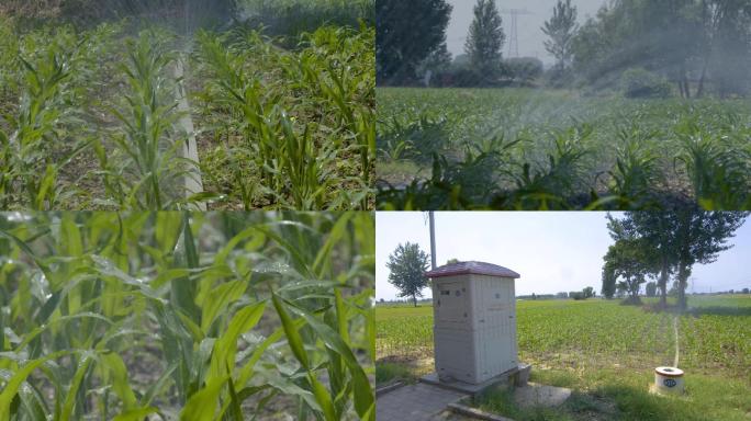玉米地水利灌溉工程