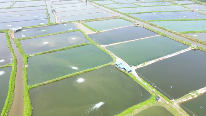 4K航拍渔业大闸蟹龙虾淡水鱼养殖基地