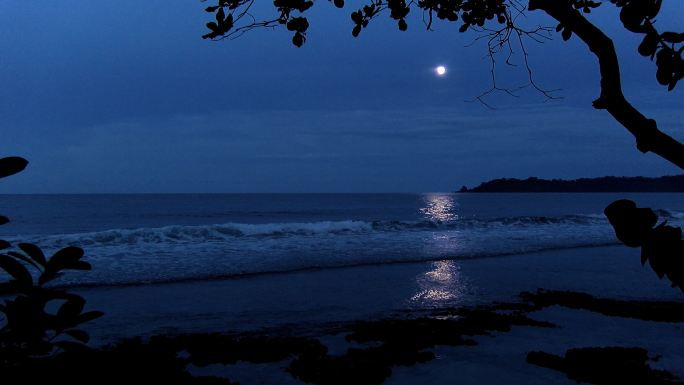 加勒比海海滩上的满月