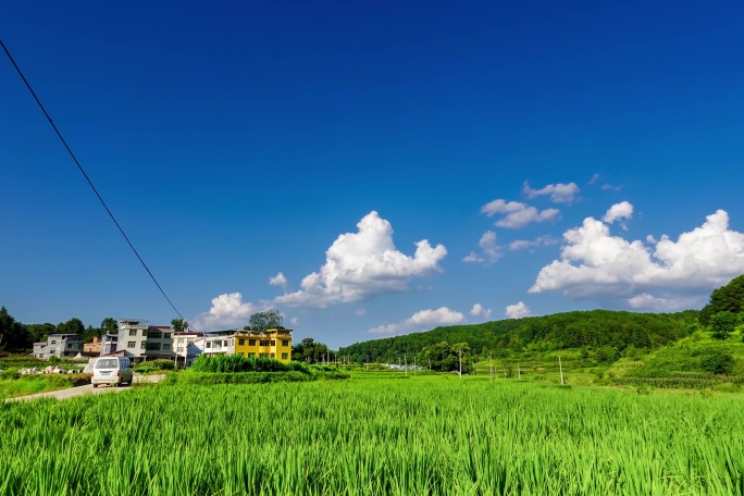 5.5K延时60帧农村蓝天稻田28秒