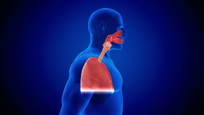 人肺呼吸系统扫描疾病数据生物医学插图