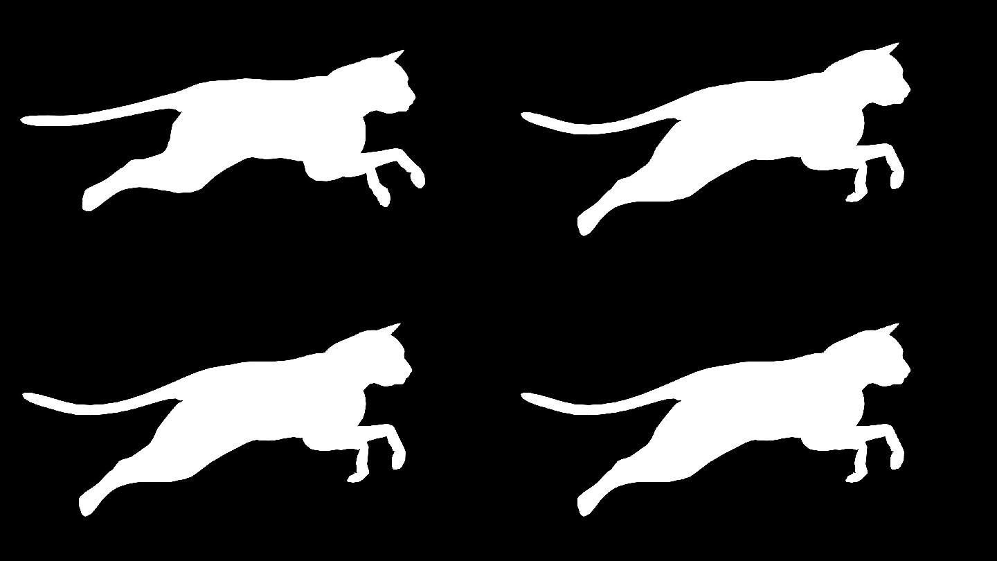 跑步的猫可循环