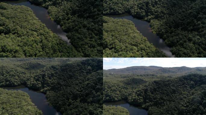 雨林中河流的俯视图