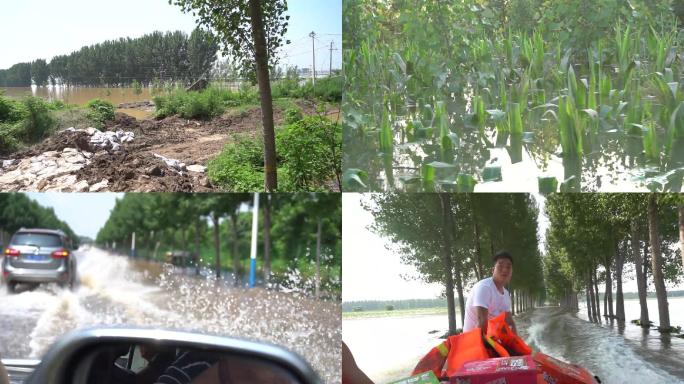 河南新乡暴雨洪水救援现场实拍