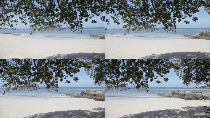 海滩和树的平移和倾斜镜头