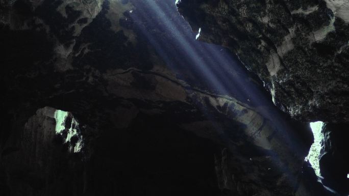 阳光照进充满蝙蝠的黑暗洞穴中