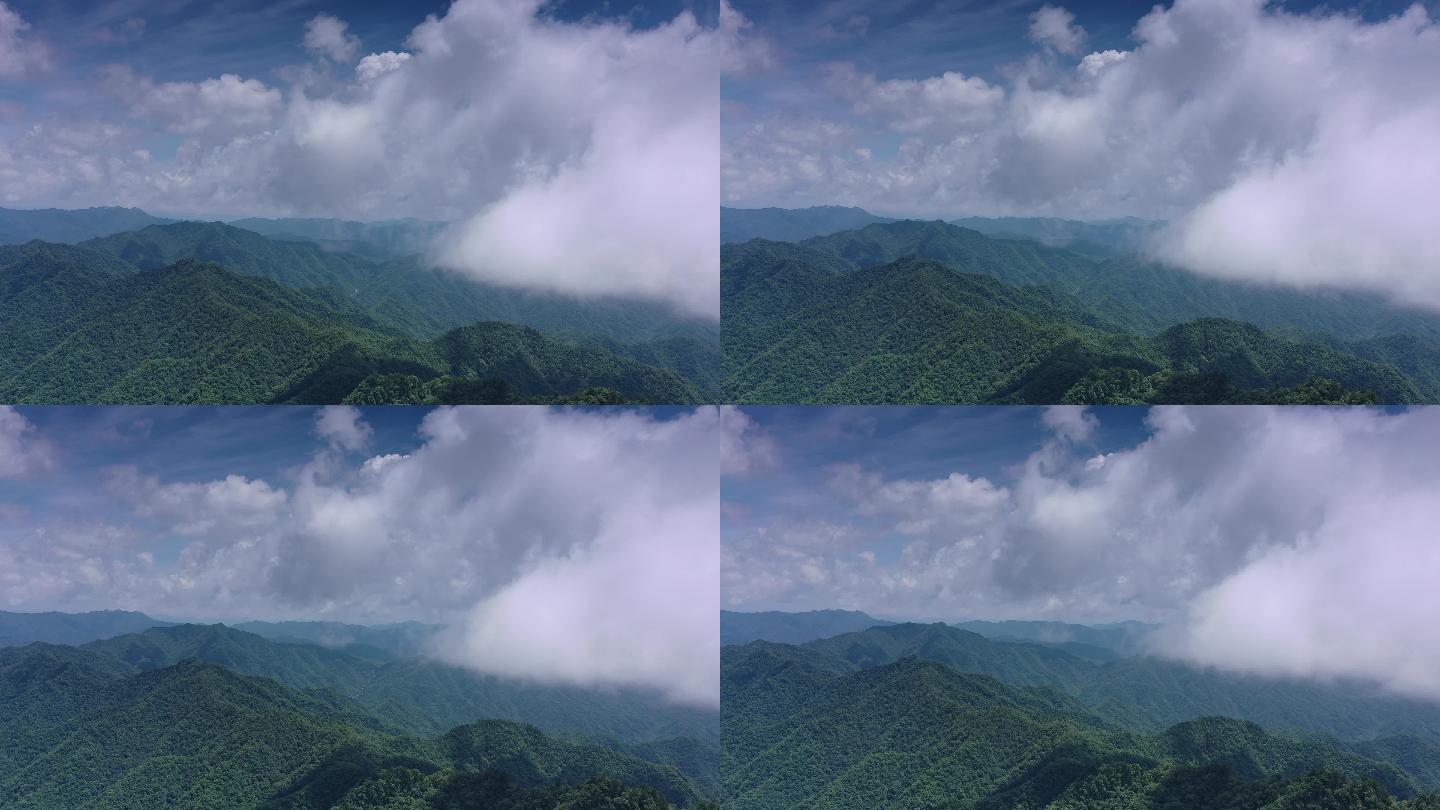 白麓 雾气 山峰 雾气 震撼 自然景观